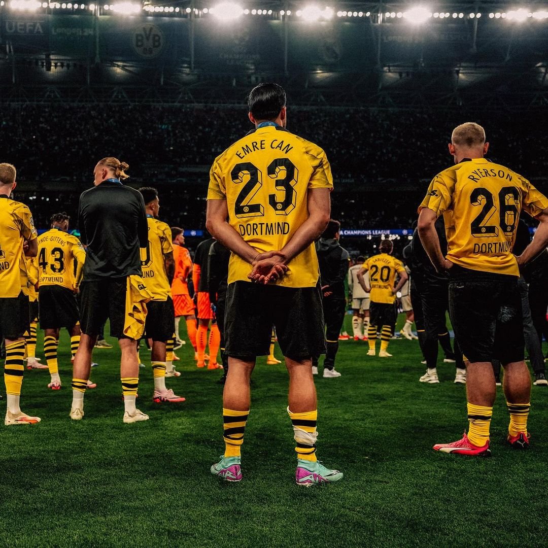 Borussia Dortmund players